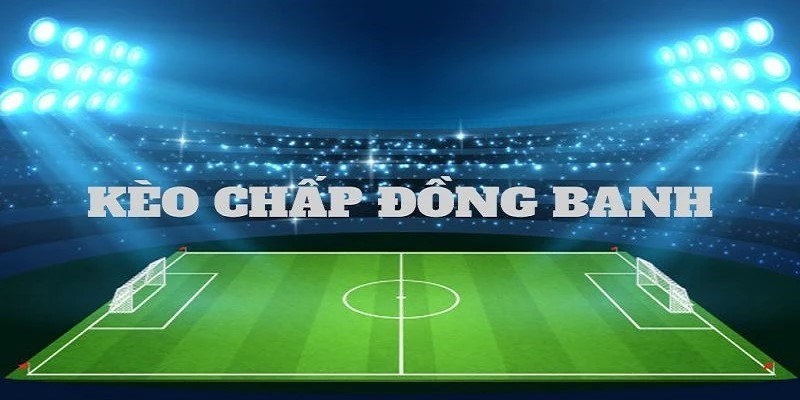 Tỷ lệ kèo hấp dẫn, biến động