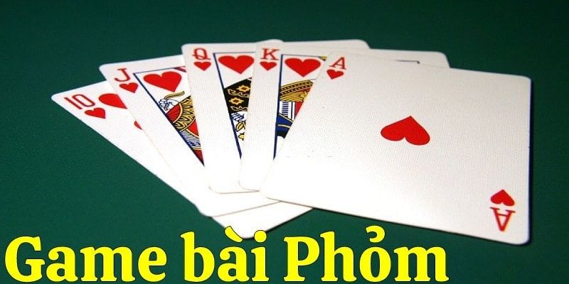 Thuật ngữ quan trọng trong bài phỏm