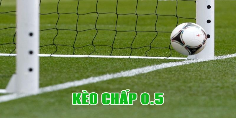 Tìm hiểu thông tin cơ bản về kèo chấp 0.5 nổi tiếng