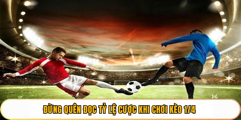 Đừng quên đọc tỷ lệ cược khi chơi kèo 1/4