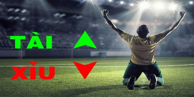 3 mẹo chơi kèo tài xỉu 2,75 thắng đậm cho newbie