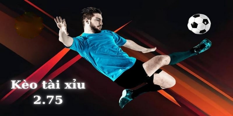 Chia sẻ cách đọc kèo tài xỉu 2.75 siêu dễ dành cho newbie